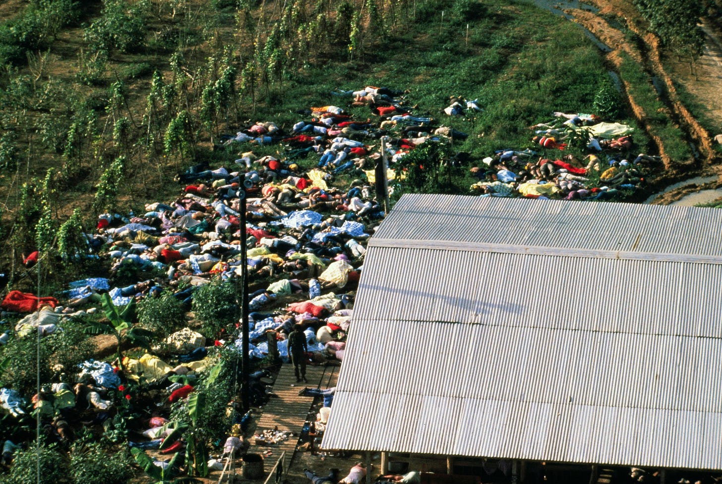 Many dead bodies massed in a green field behind a building with a corrugated roof. Many dead bodies massed in a green field behind a building with a corrugated roof.