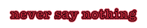 Never Say Nothing