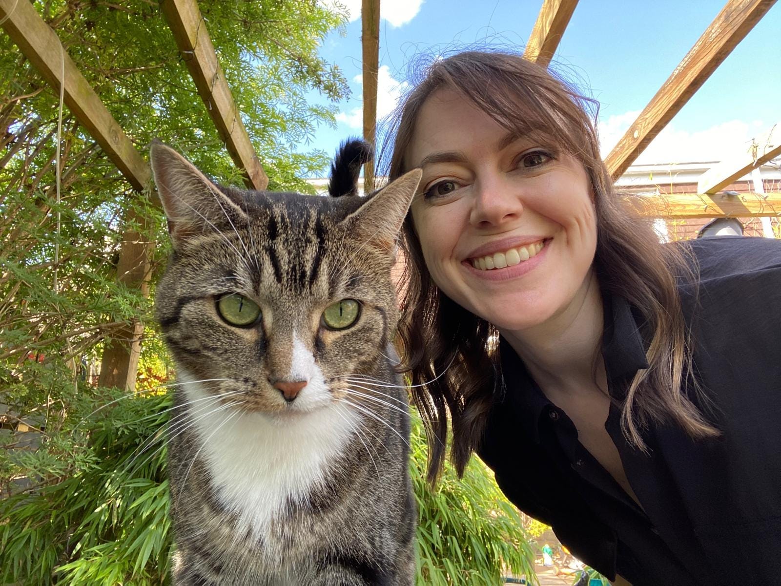 Facilitating Successful Cat Introductions