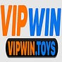 vipwin's avatar