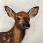 Aves's avatar