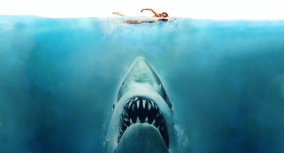 14 Perfect Minutes: Breaking Down the Opening of 'Jaws'