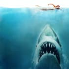14 Perfect Minutes: Breaking Down the Opening of 'Jaws'
