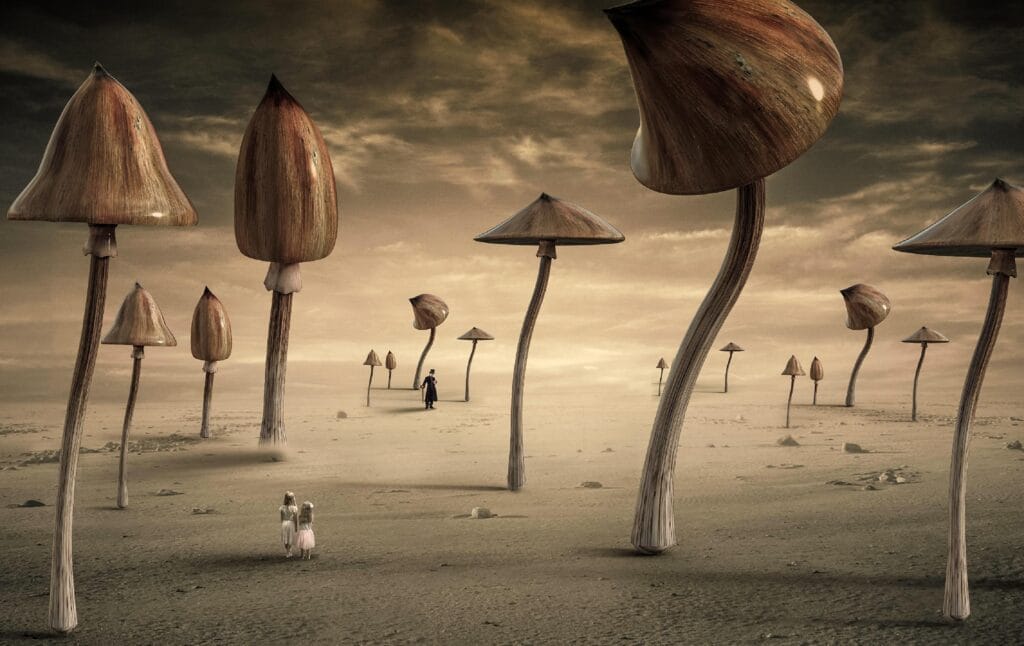 Mushroom fantasy art