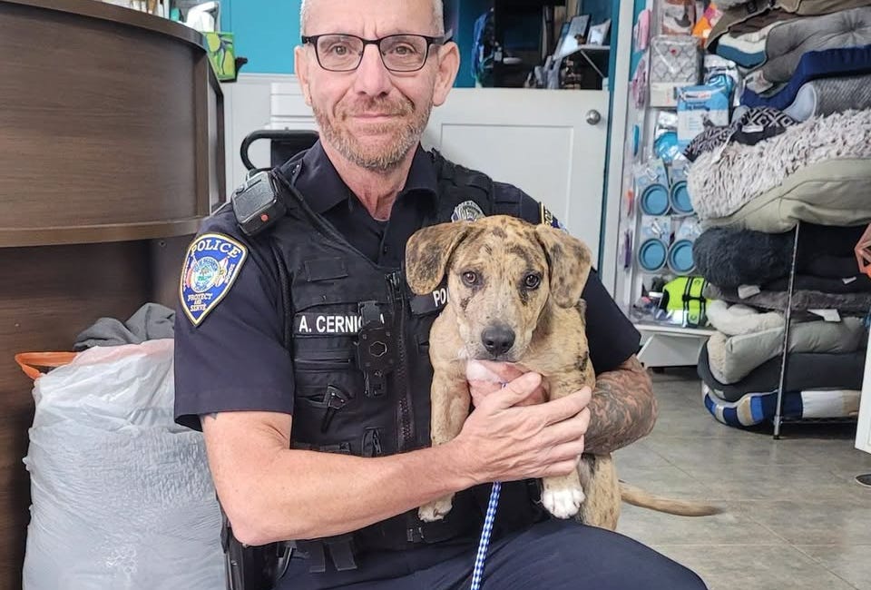Animal Abuser Added to Florida Database After Puppy Cruelty Case