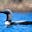 Blue Loon's avatar