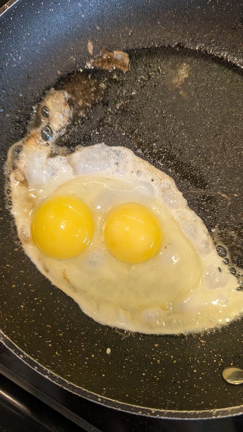 Double yolked eggs