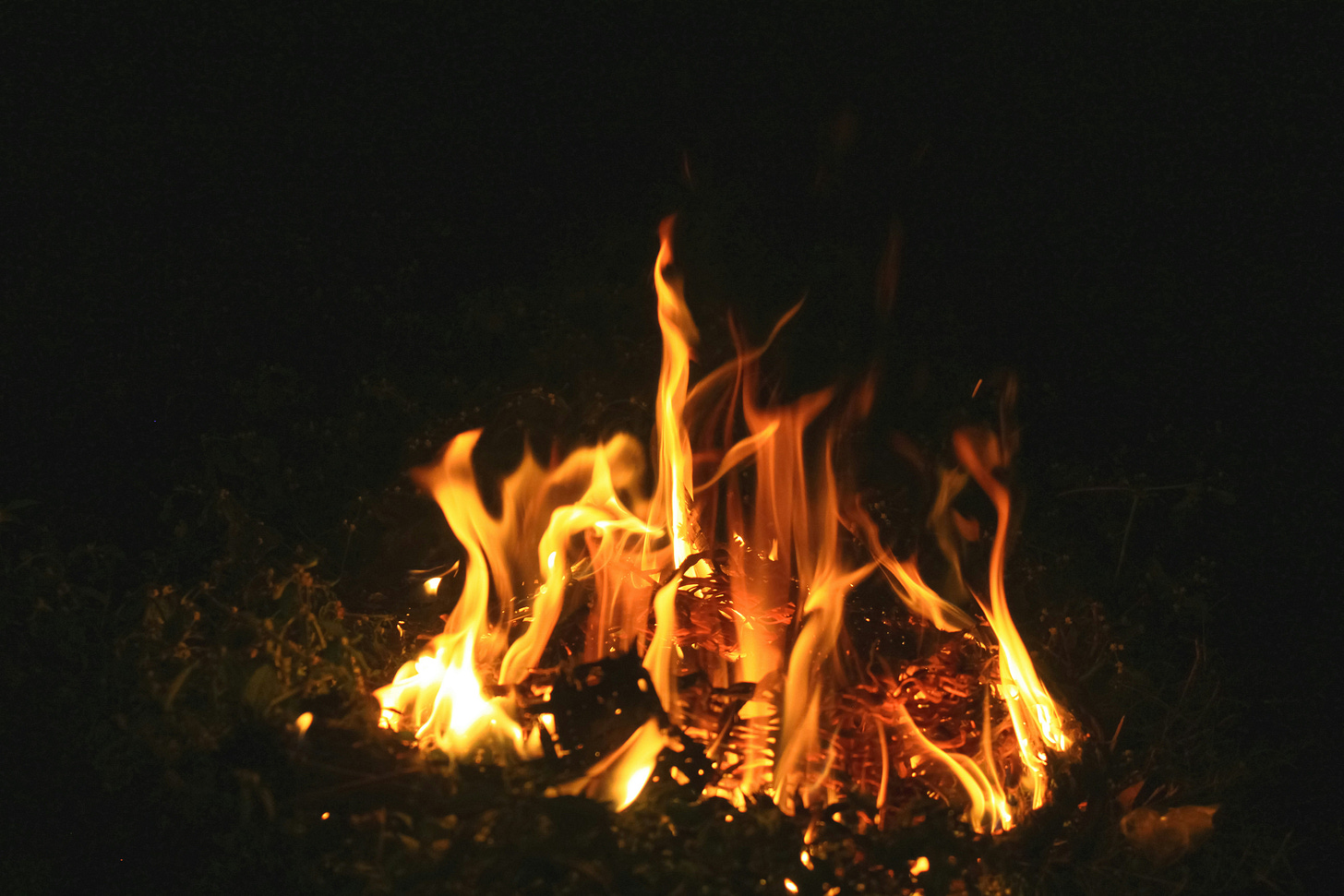 Close-up of a small outdoor fire burning in the dark; orange and yellow flames curl upward from twigs and leaves, bright against a black background