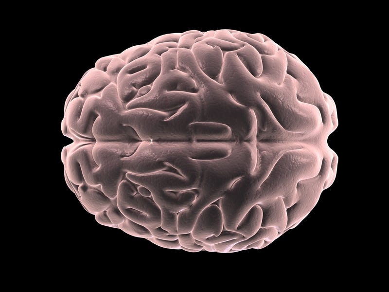 brain behaviour development health