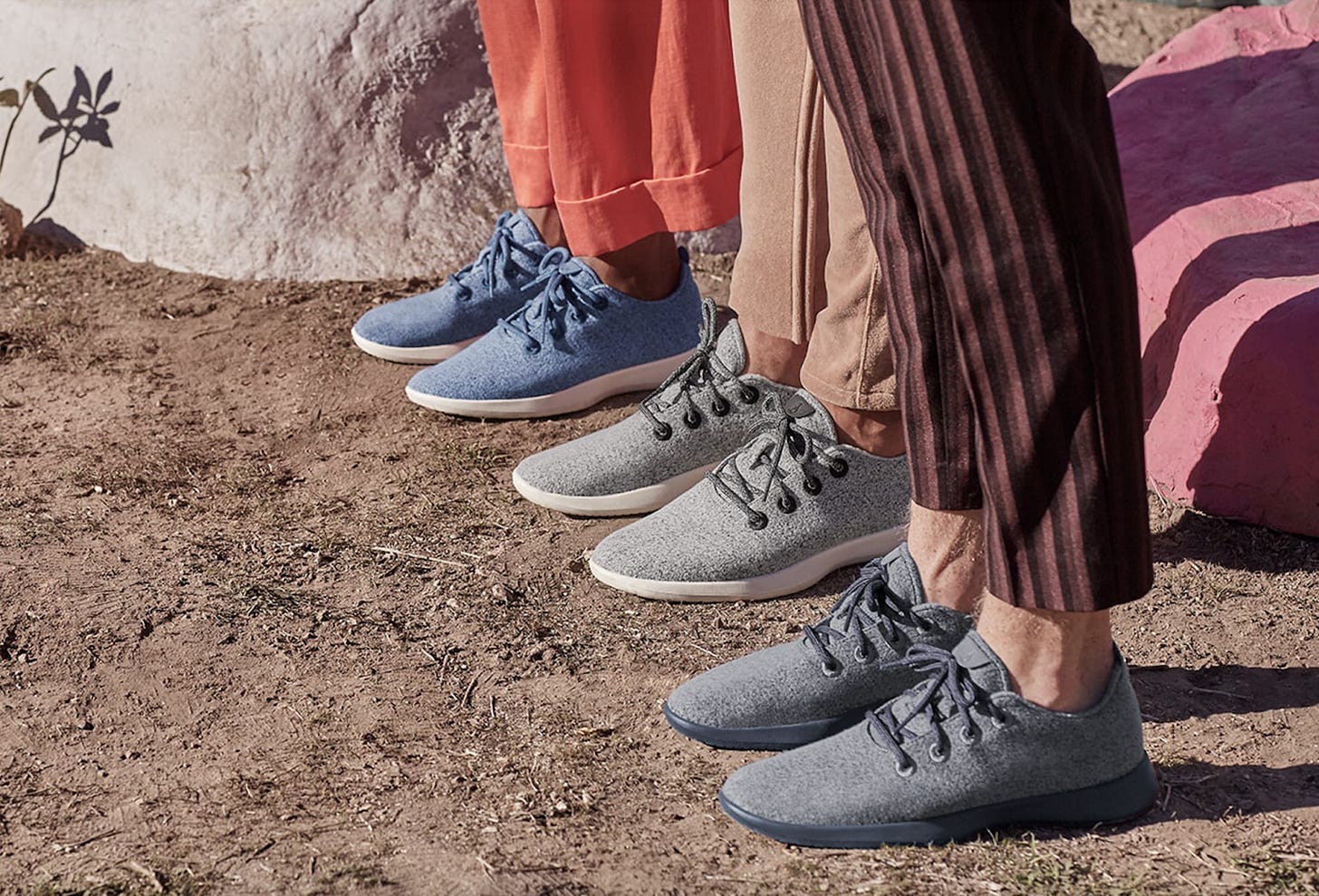 Allbirds Lawsuit