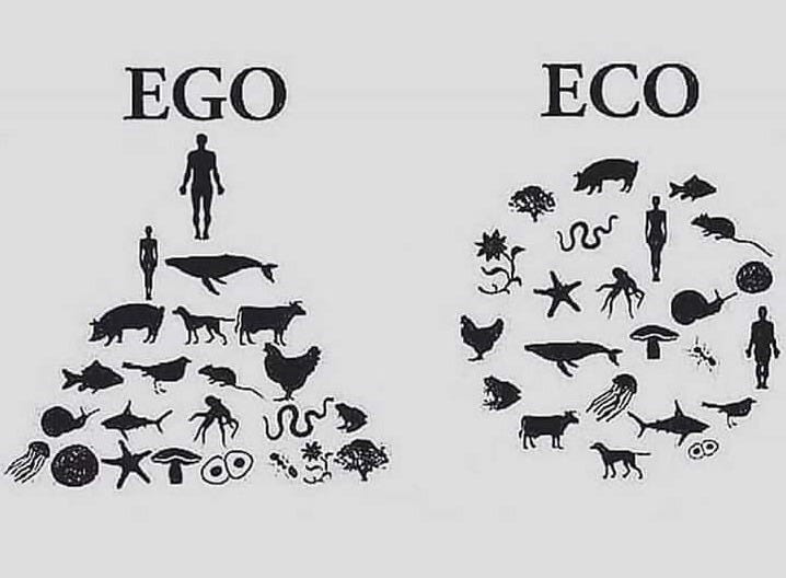 🙏 People with a Sense of Unity Experience Greater Life Satisfaction