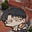 Wei's avatar