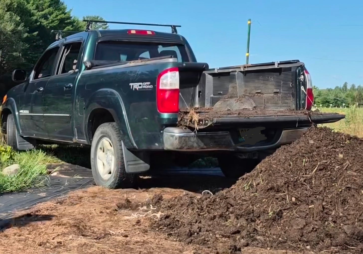 A pickup truck backed up to a large pile of manure, its truck bed empty after unloading.