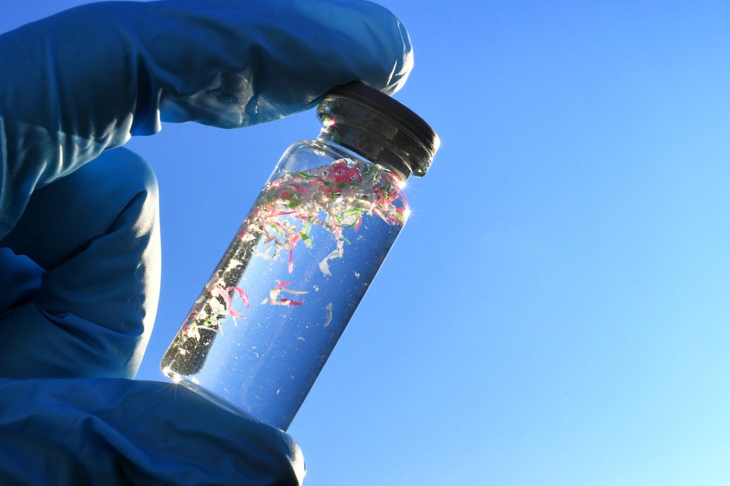 Scientists were unsure of how microplastics harmed the body — until now - The Washington Post Scientists were unsure of how microplastics harmed the body — until now - The Washington Post