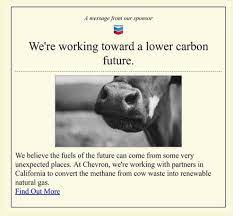 chevron.jpg