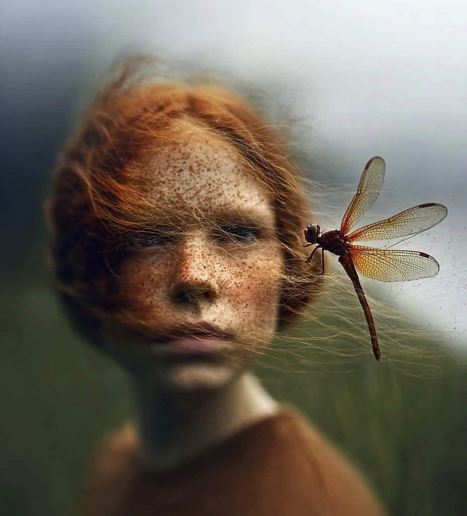 Digital art — Polina Kostanda