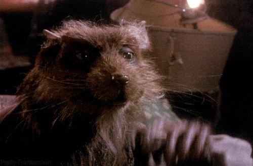Splintered GIFs - Find & Share on GIPHY