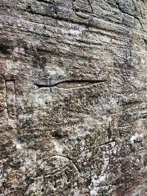 Kariong Egyptian glyphs