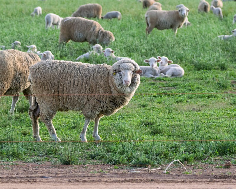 20260126-SCF-477-Edit.jpg 20260126-SCF-477-Edit.jpg