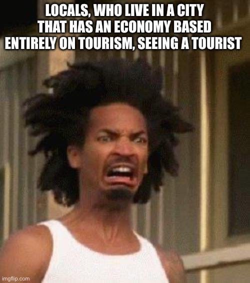 Tourists, How Dare They! : r/meme
