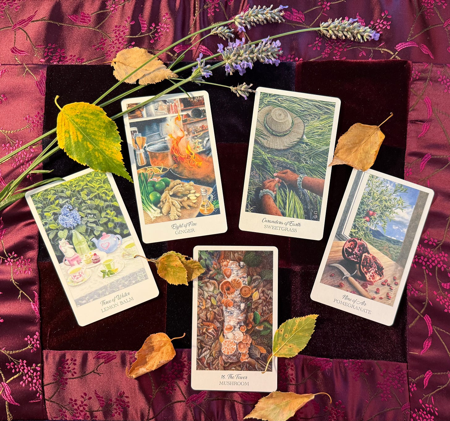 5 Herbcrafter's Tarot cards for the Council of the Elements 5 Herbcrafter's Tarot cards for the Council of the Elements
