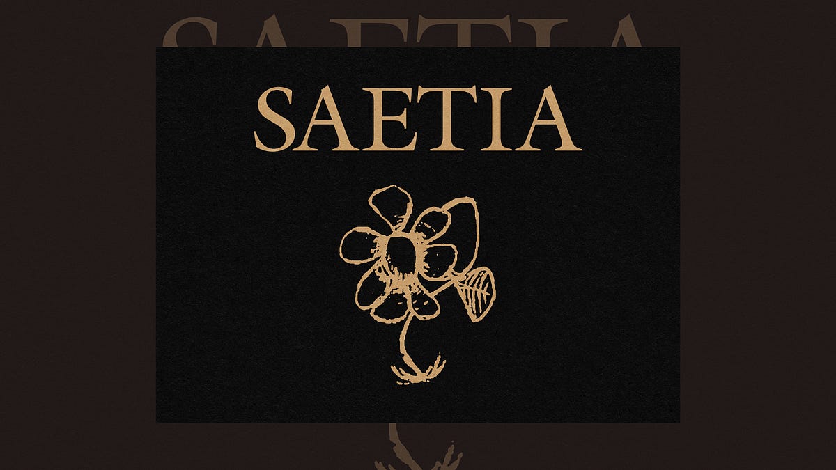 洋楽 Saetia / A Retrospective (CD) Saetia – A Retrospective – CD (Compilation), 2001 [r1313836] | Discogs