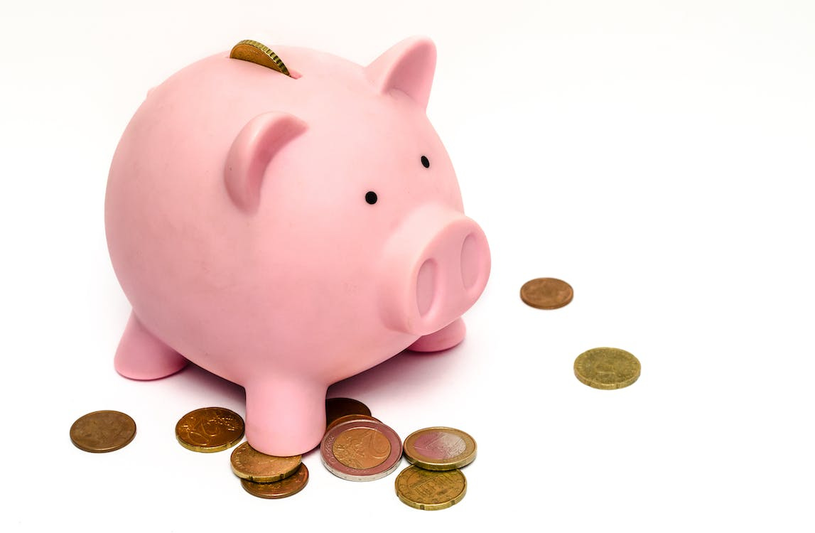 Free Piggy Bank with Coins Stock Photo Free Piggy Bank with Coins Stock Photo