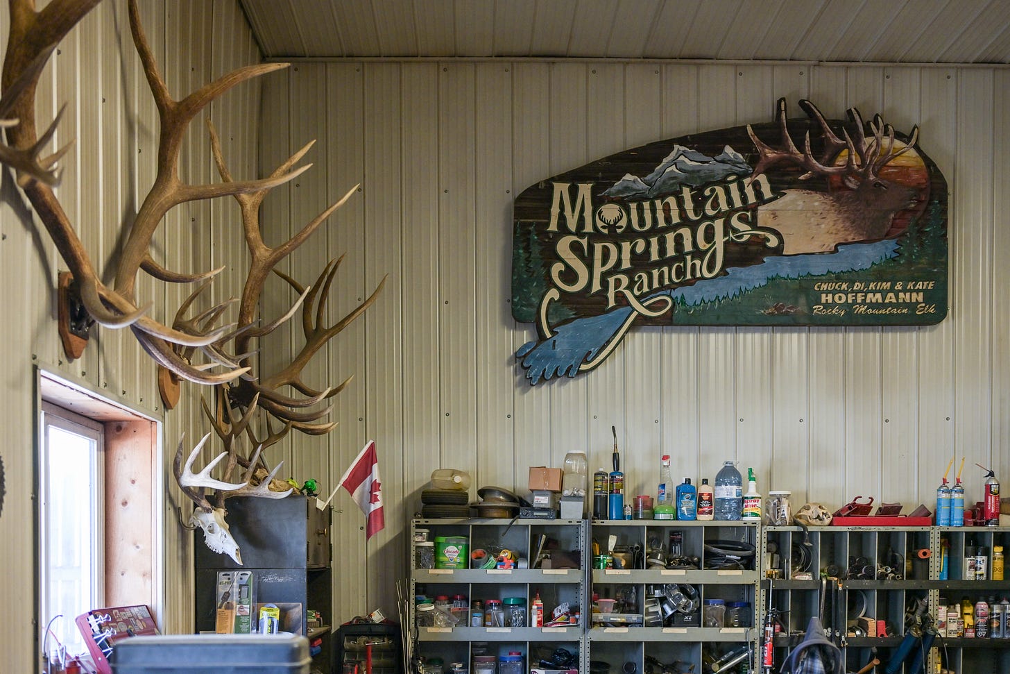 Inside the shop at the Mountain Springs Elk Ranch