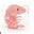 Shrimp Feelings's avatar