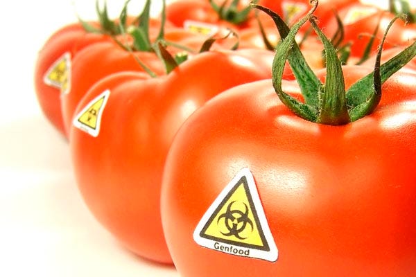 20 years ago today… What have we learned since the GMO Flavr Savr tomato?