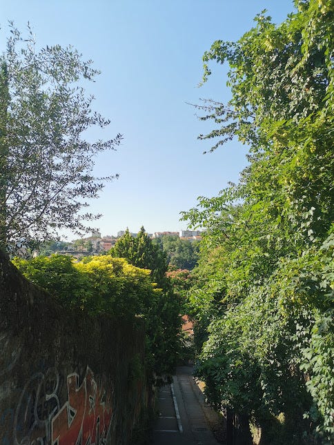 A photo of a tree-lined path in Lyon next to a photo of the sun setting over Marseille