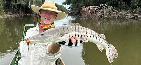 Shovel head catfish, red tail catfish and black piranha, caught while at Agua Boa Amazon Lodge in Brazil.