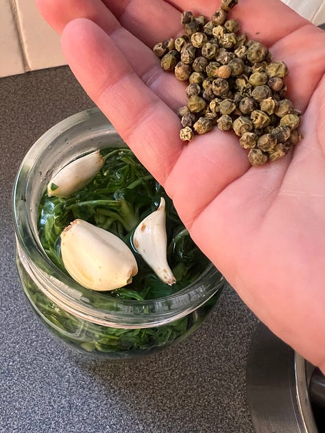 Stamnagathi Pickles