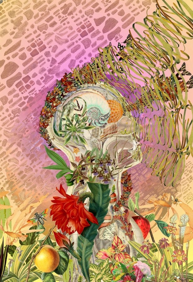 Artist blends human anatomy with natural imagery to address love, loss and  letting go