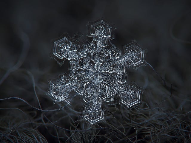 How to Take a Picture of a Single, Ultra-Magnified Snow Flake - The Atlantic