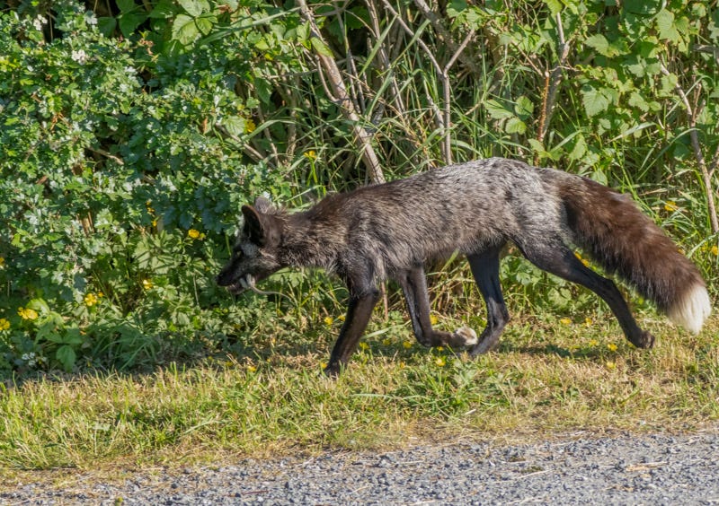 20250610-SJI3-307-Edit.jpg 20250610-SJI3-307-Edit.jpg