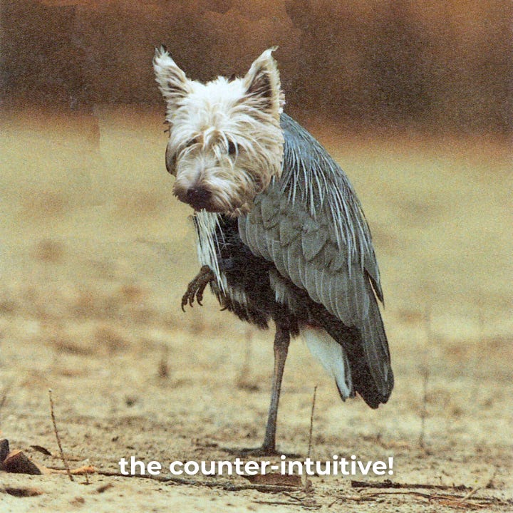 the counter-intuitive!