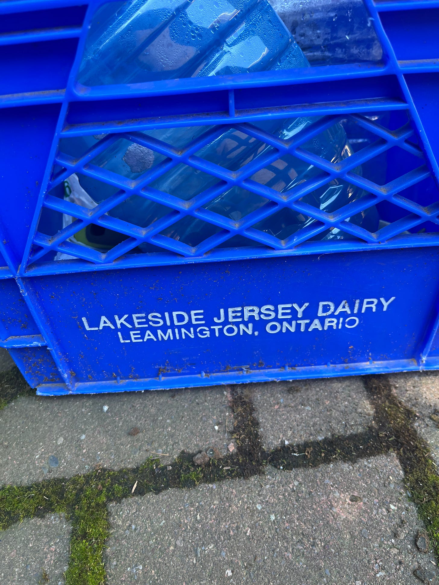 an old plastic milk crate with the words "lakeside jersey dairy, leamington, ontario' on the side