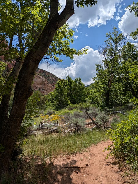 Two photos of views from a hike, with green grass and shrubs, a few evergreen trees, and reddish rock mountains in the background; one photo of a small, round cactus with three bright pink blooms on top.