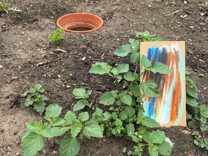 Creative prompts scattered around the garden, alongside nature-inspired artwork