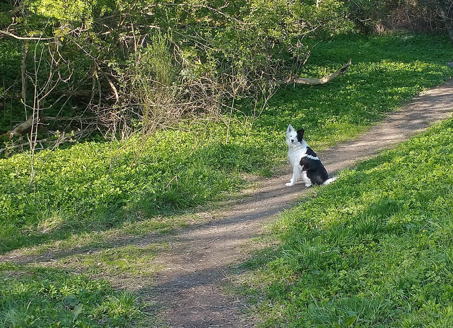 Kingsteps Quarry