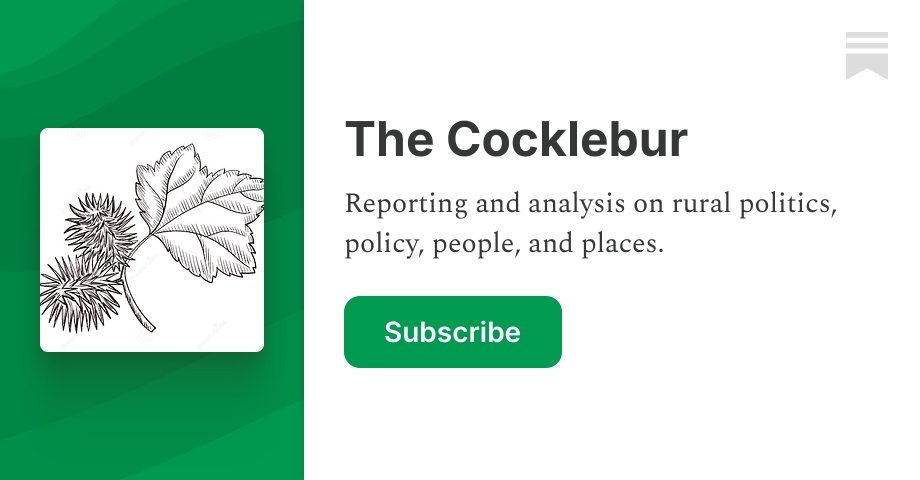 The Cocklebur | Bryce Oates | Substack