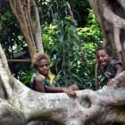 The Stranglers That Save Lives When Cyclones Strike