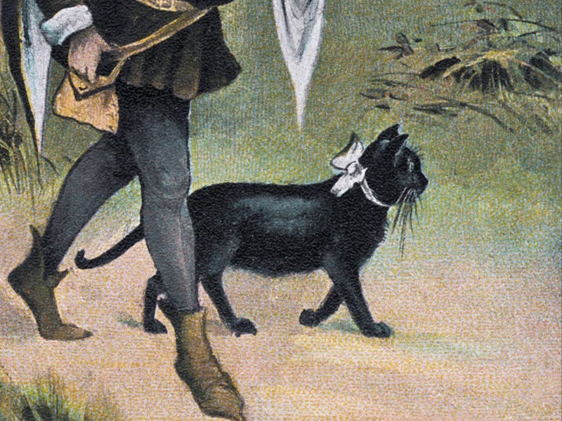 Black Cat Roots: From Divine Guardians to Friday the 13th Scapegoats