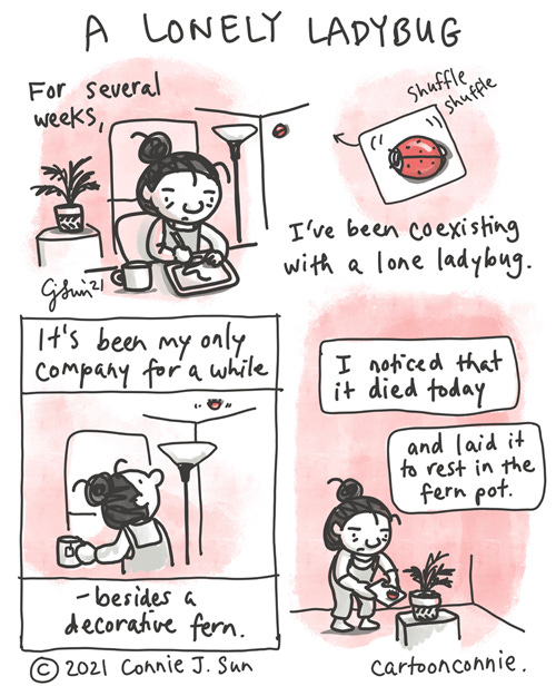 Lonely Ladybug 4-panel, monochrome diary comic of a girl in an apartment, coexisting with a red ladybug. She is working at her desk, while the ladybug crawls along the walls and ceiling. She comments that it's been her only company for several weeks, besides a decorative fern. In the final panel, she says that the ladybug died today and that she laid it to rest in the fern pot. Comic strip by Connie Sun, cartoonconnie