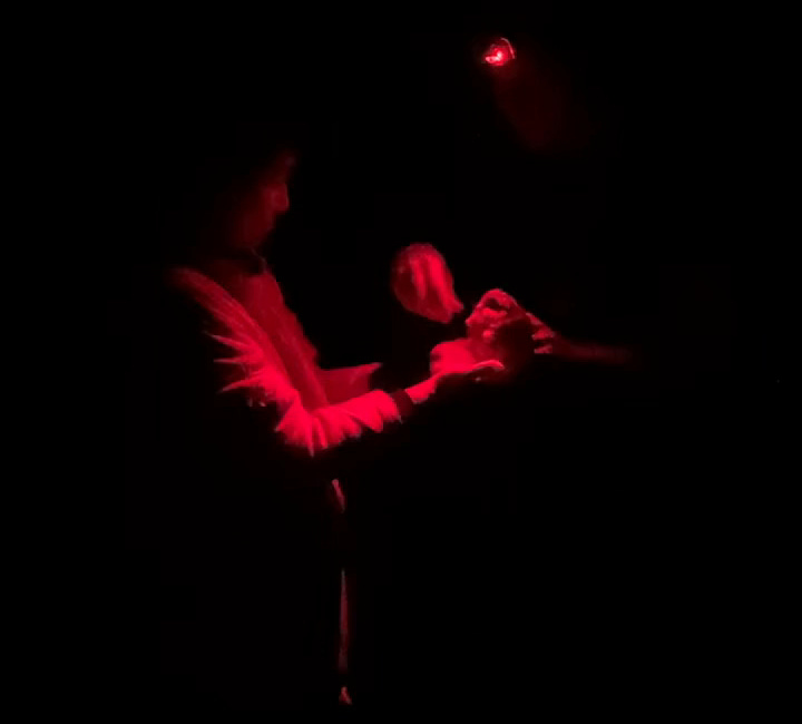 Owl-Banding by Berkshire Bird Observatory