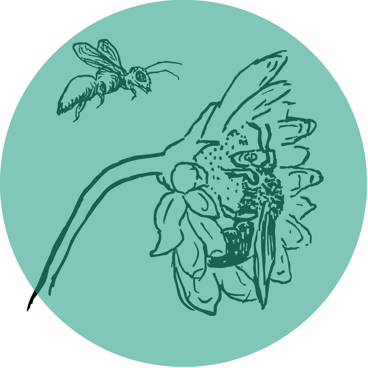 The Gardener’s Mindset by Stephen Orr