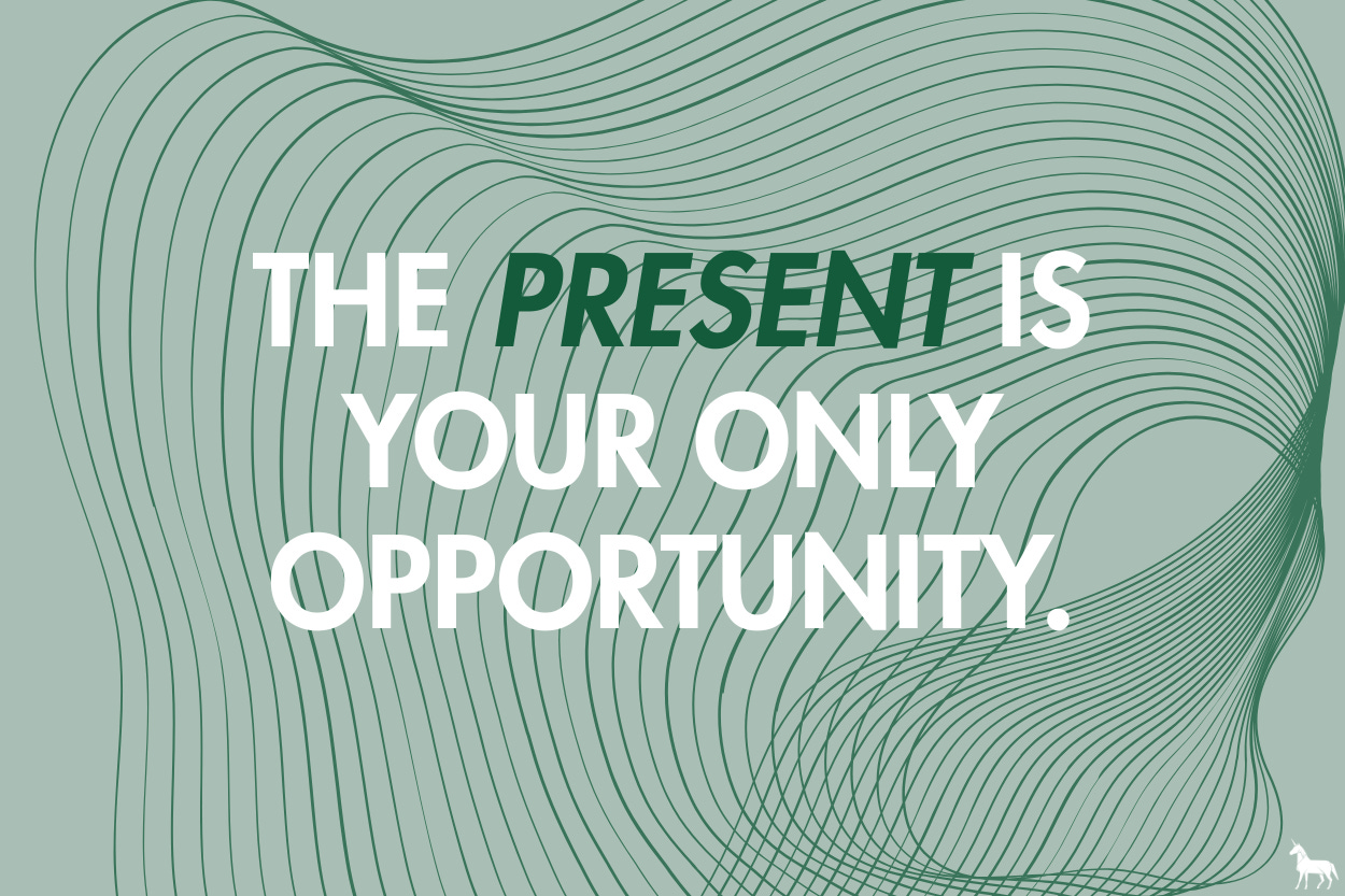The present is your only opportunity. The present is your only opportunity.