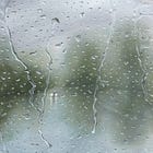 Seers, Saints, Poets