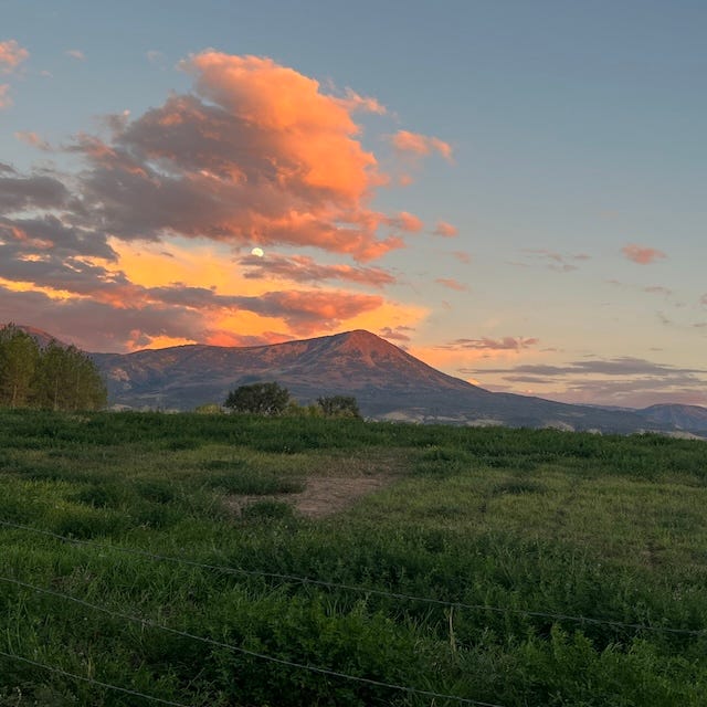 The Continuous Portrait